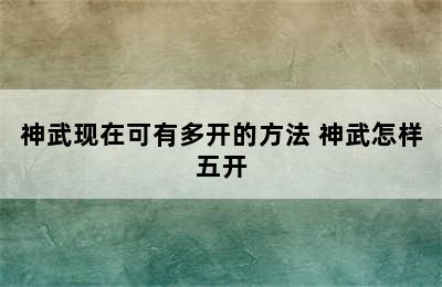 神武现在可有多开的方法 神武怎样五开